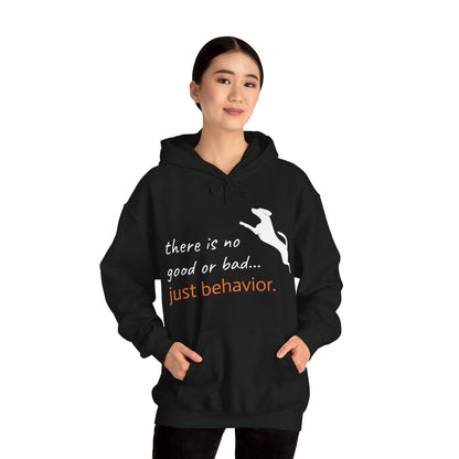 "There is no good or bad...just behavior" Hoodie